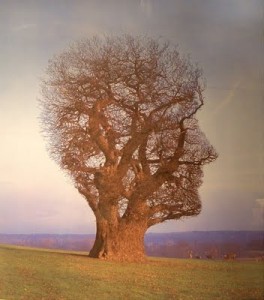 TreeOfKnowledge-264x300