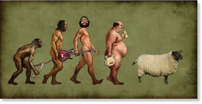 evolution_to_sheep
