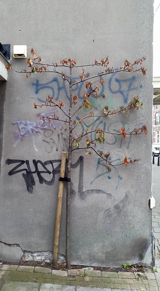 20150714 1 Graffitree