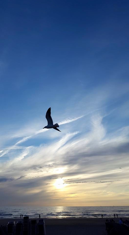 20150718 Zandvoort 2 Henk is er ook, Ingrid in de verte