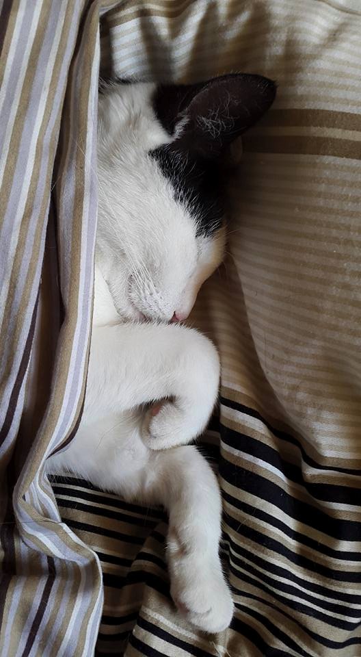 20150720 1 The answer to Monday