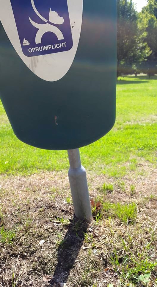 20150729 Maar wat als het hondje nog niet stuk is