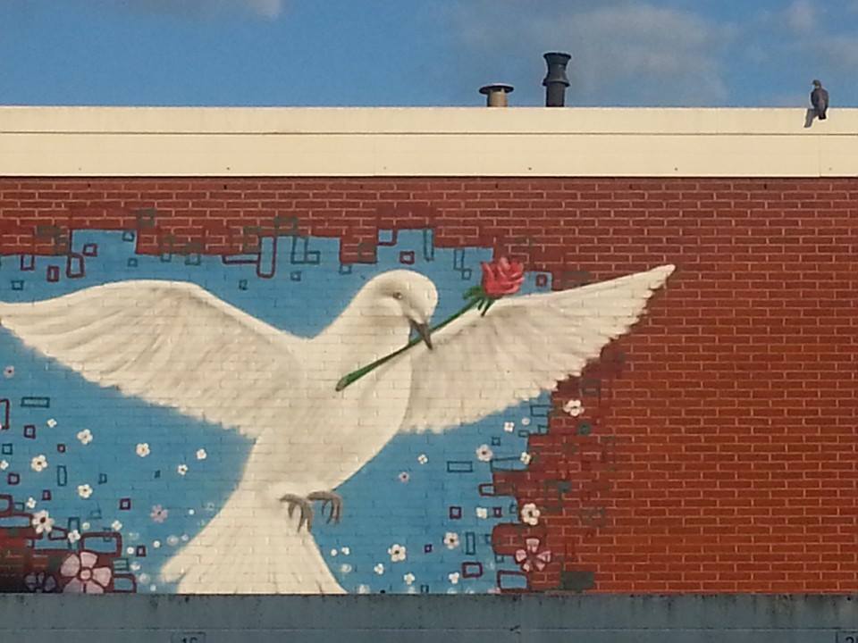 20140911 Twee duiven