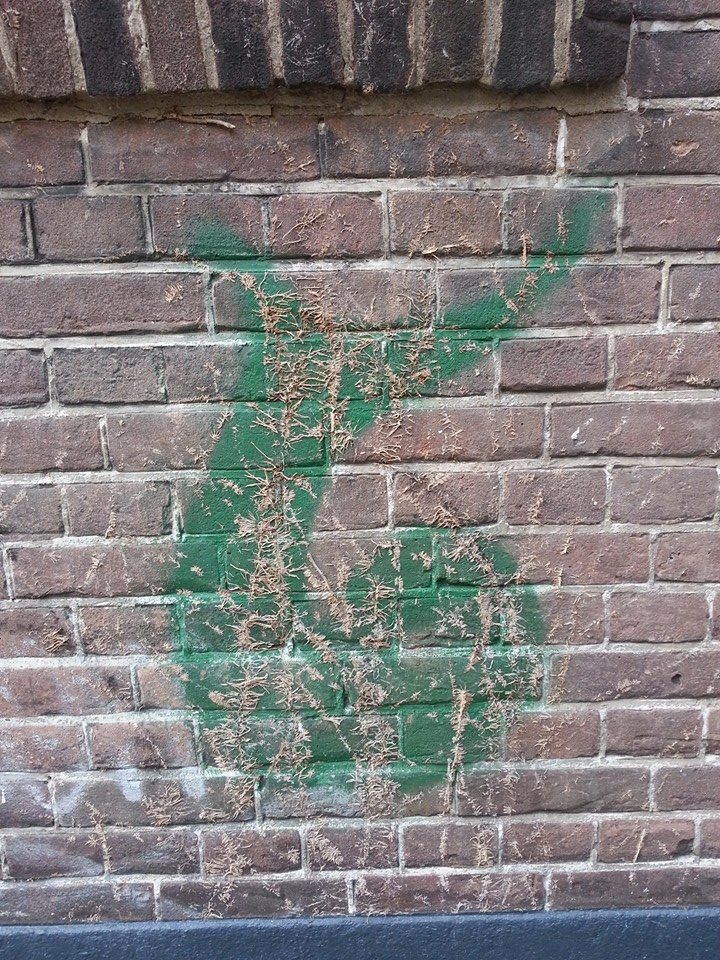 20141004 Vegetarische graffiti