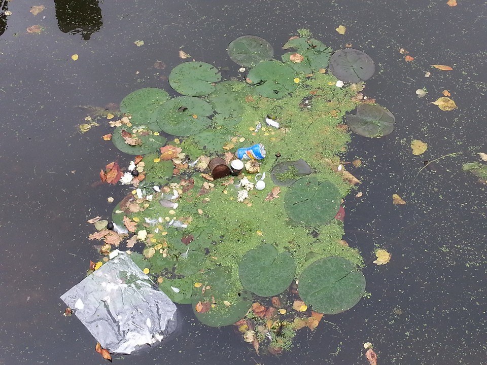 20141015 Haags stilleven