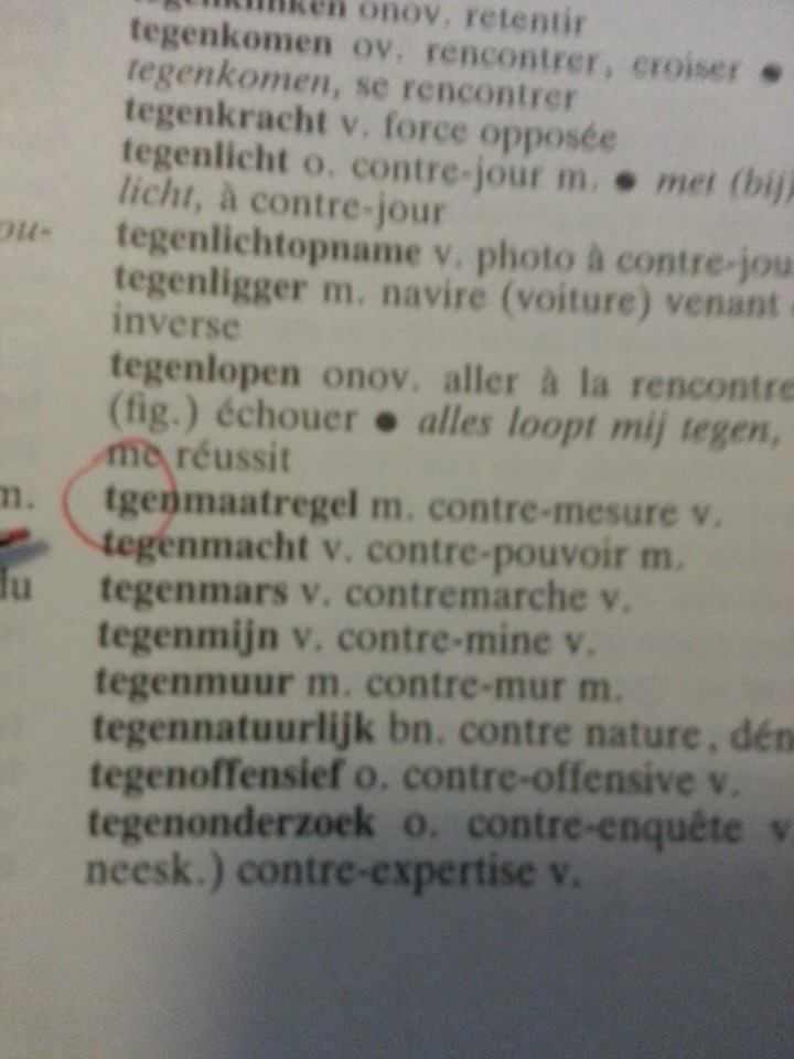 20141204 Niet te geloven, ik vind een typefout in een woordenboek