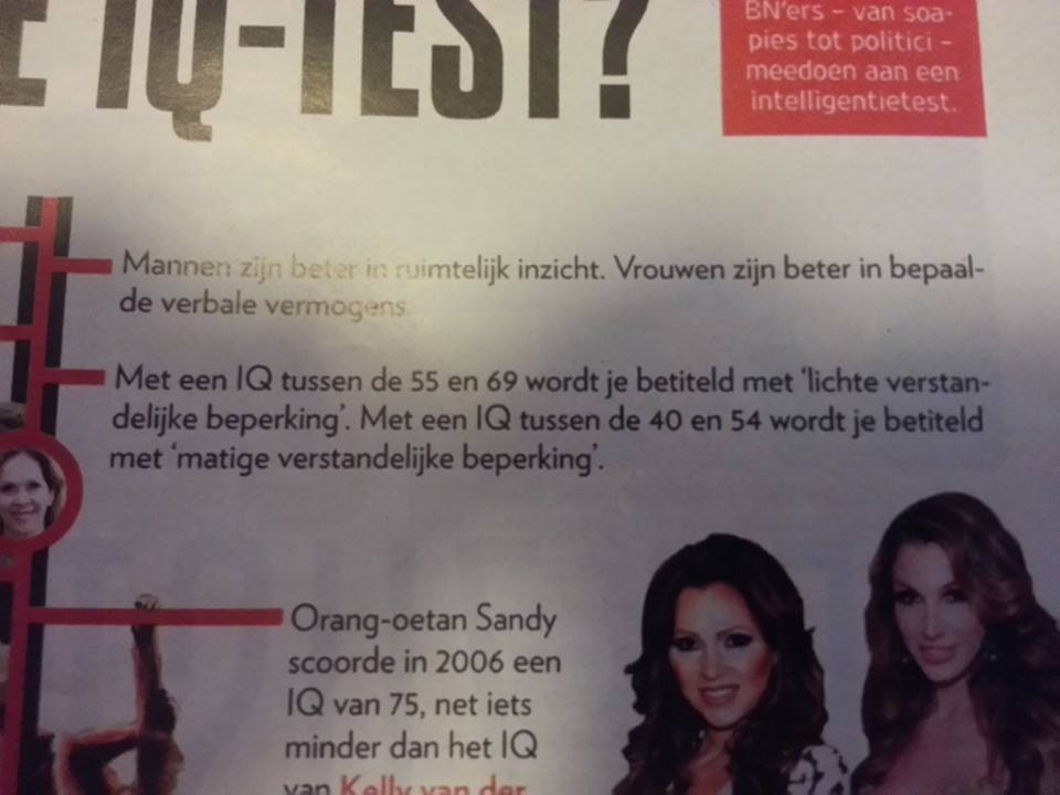 20150118 En hoeveel IQ is nodig voor correcte grammatica