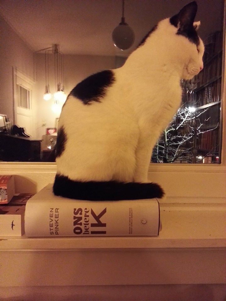 20150208 Toepasselijk