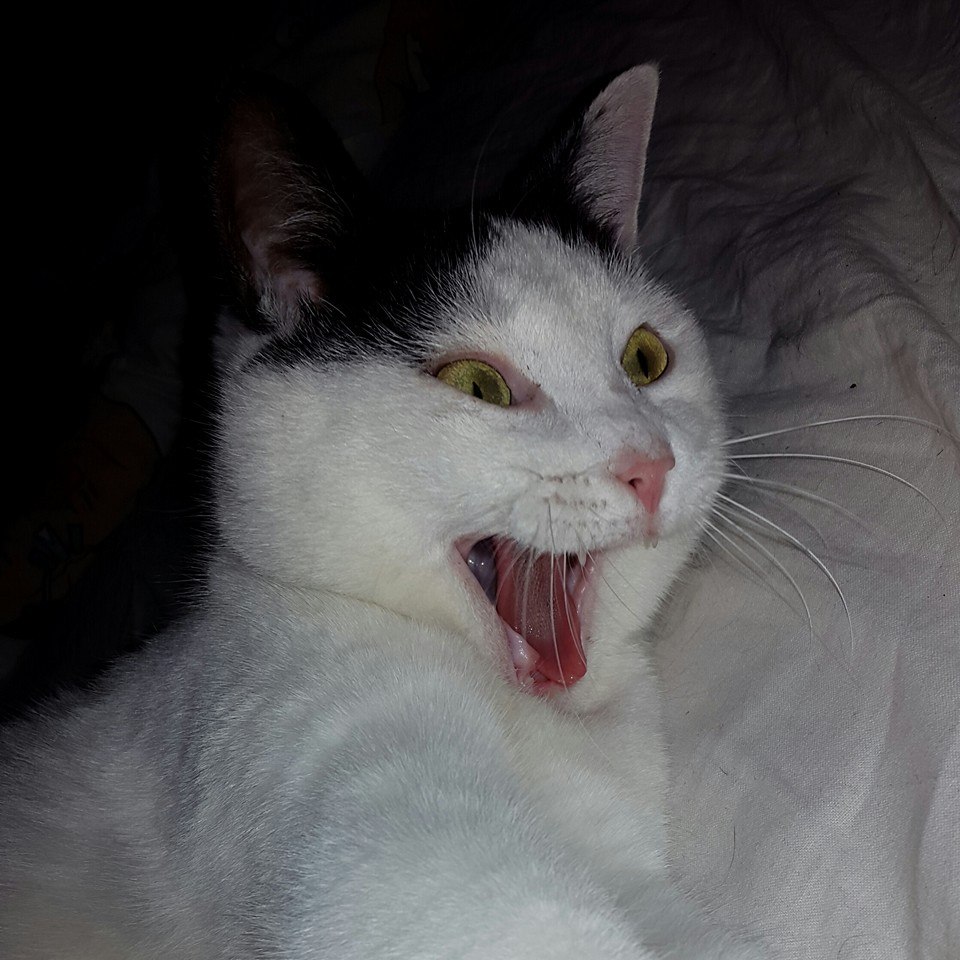 20150226 yeah Bobby tell me another joke