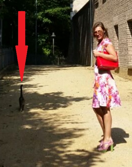 20150801 Cat in Cleve