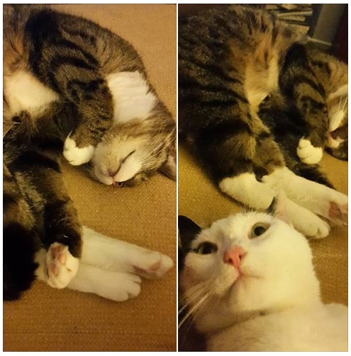 20150807 Da Bobbie bombed