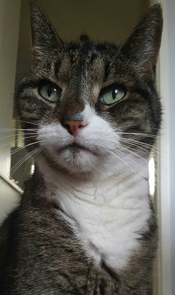 20150809 Bob vindt ergens iets van