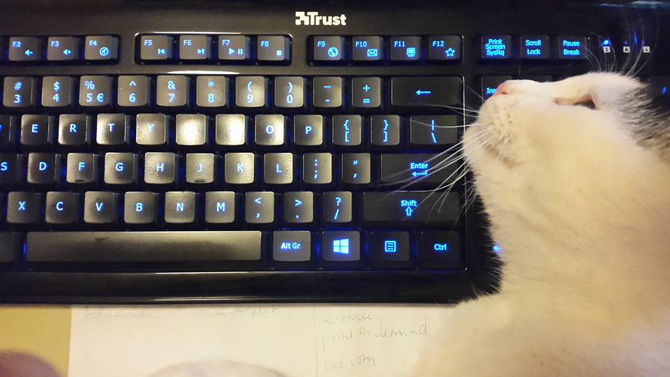 20150817 Broes went over the numbers one more time