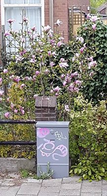 20150427 Color da city pink