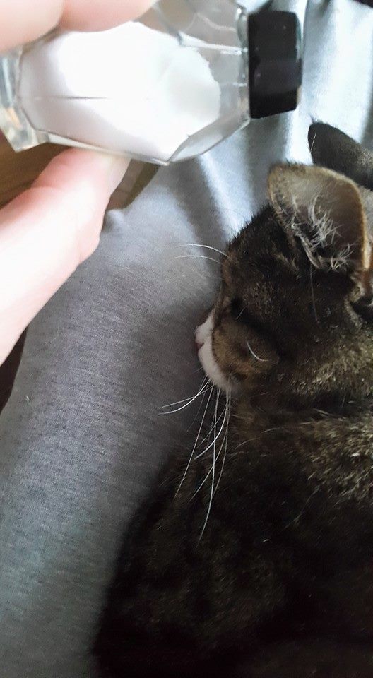 20150430 En nou bobzouten