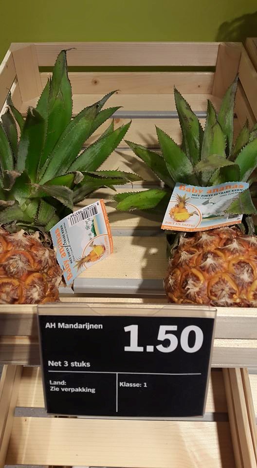 20150531 Nu dus nog 2