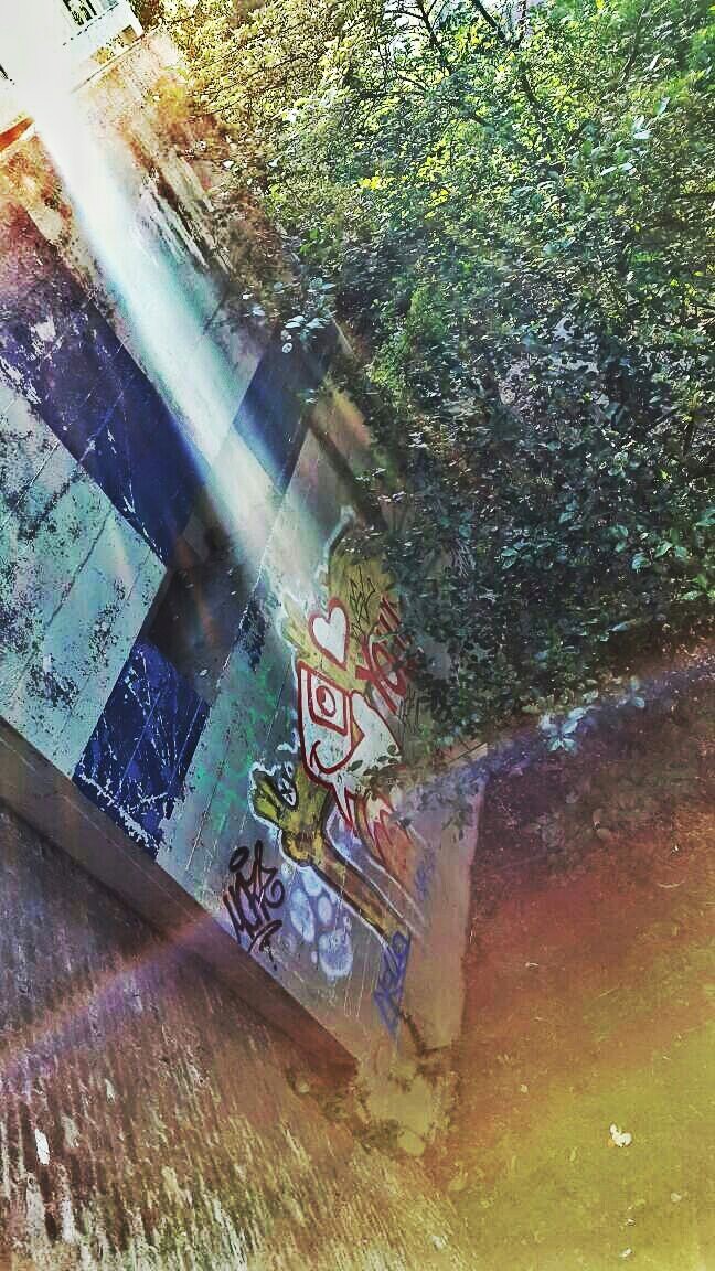 20150613 1 Sunsprayed graffiti