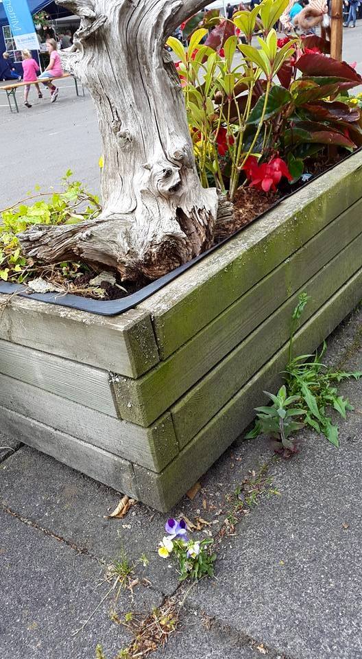 20150614 3 Op een dag trok viooltje de stoute schoenen aan