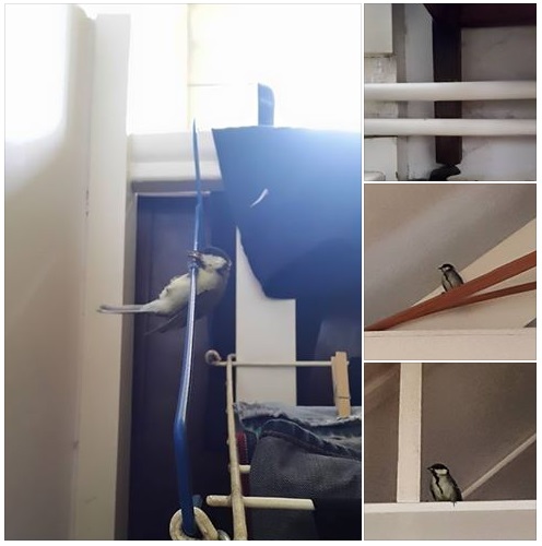 20150616 Uit Isfahan en andere vormen van ironie