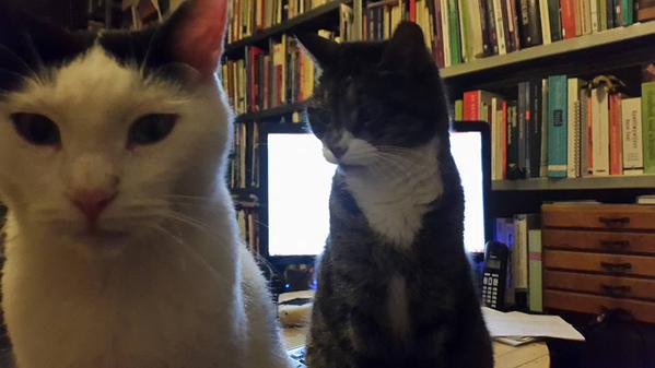 20150907 Teaming up to sabotage work