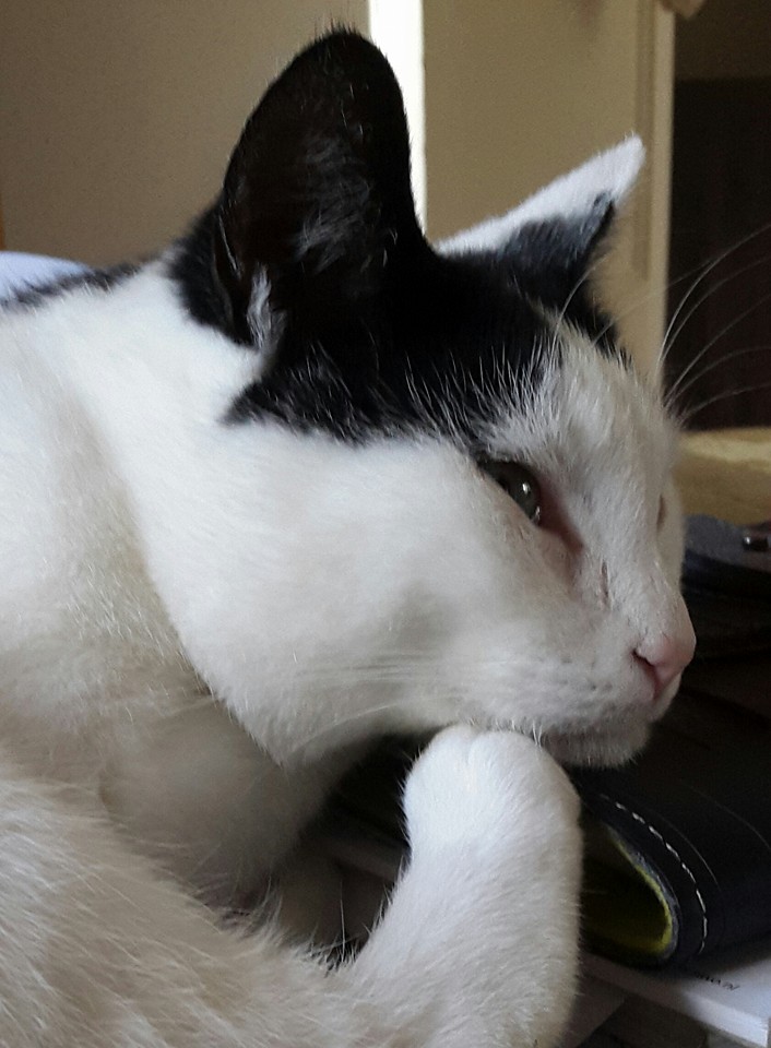 20150914 Broes Baudrillard