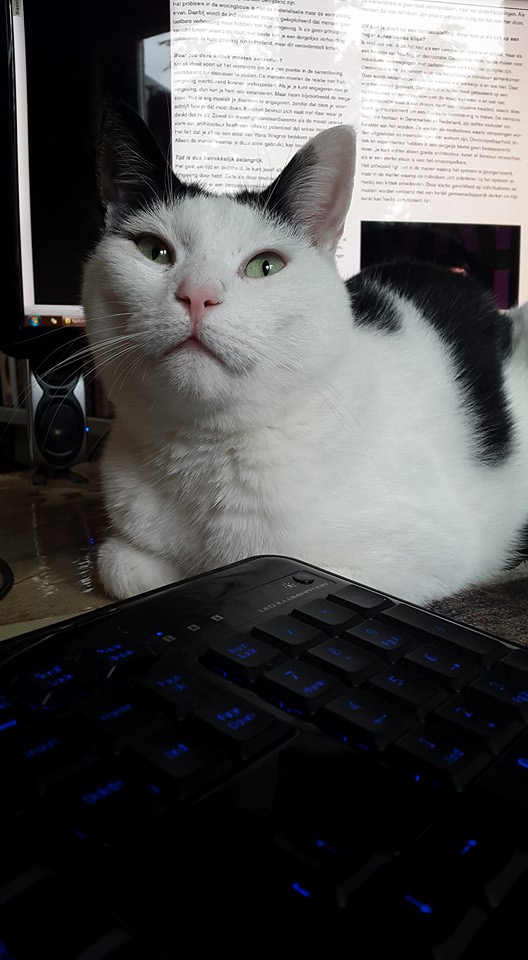 20150916 Kapitein Broes van de anti-labbekakbrigade