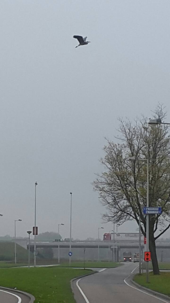 20151029 Westelijk havengebied Amsterdam