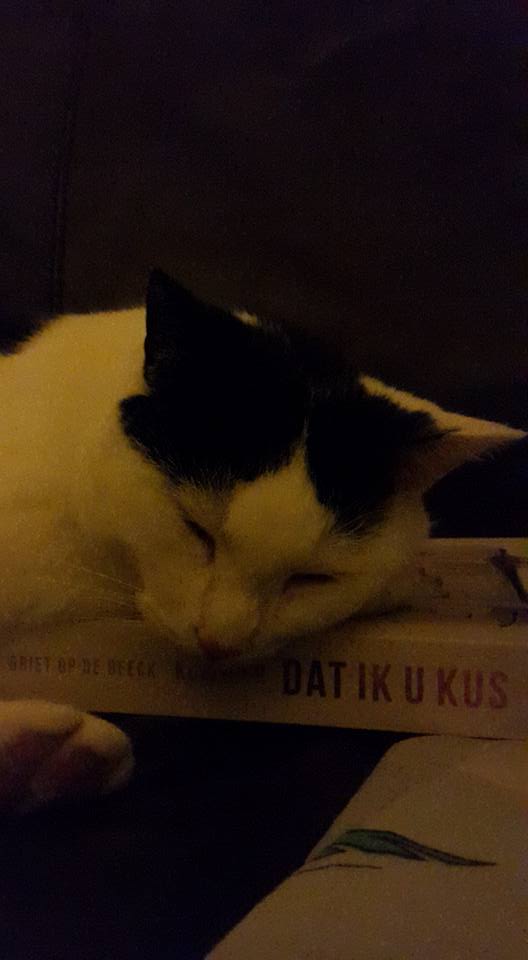 20151101 Aan een nieuw boek begonnen