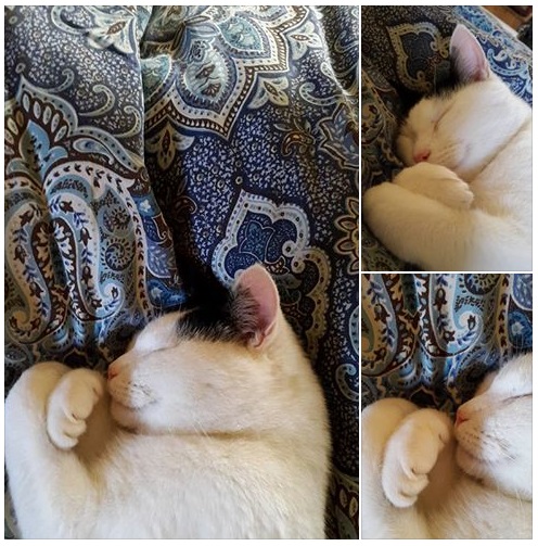 20151101 Hugging with imagination