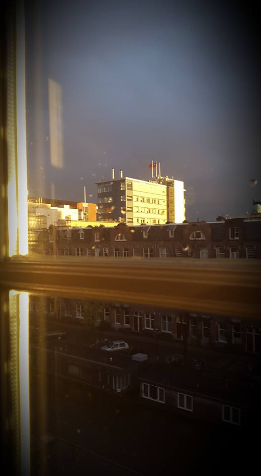 20151113 Longing sun