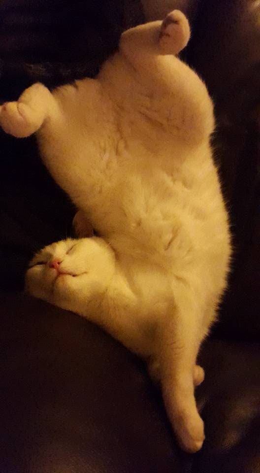 20151119 Who needs gravity anyway