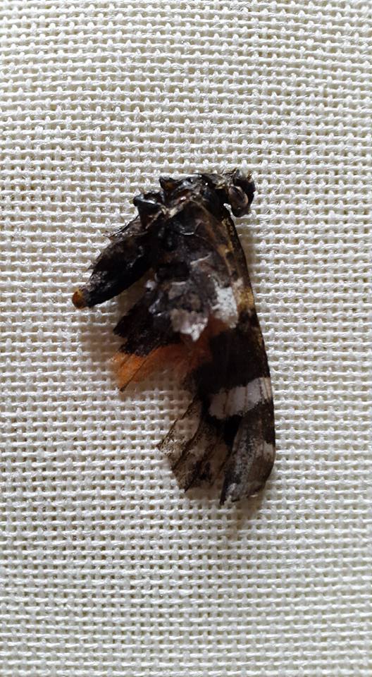 20151122 How fragile we are