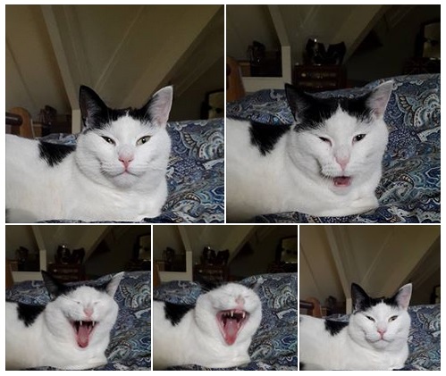 20151201 Dont follow the news, follow the Broes