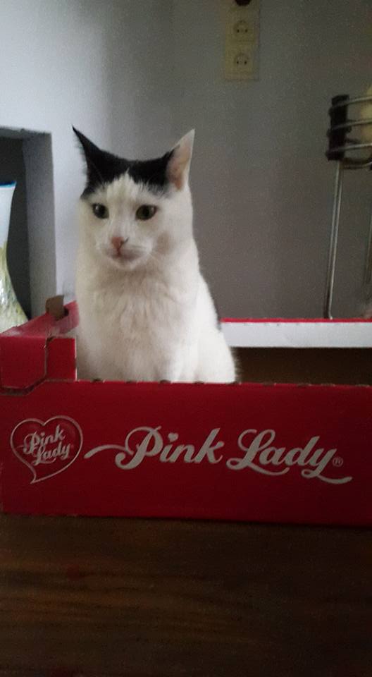 20151205 Just thinking out of the box here