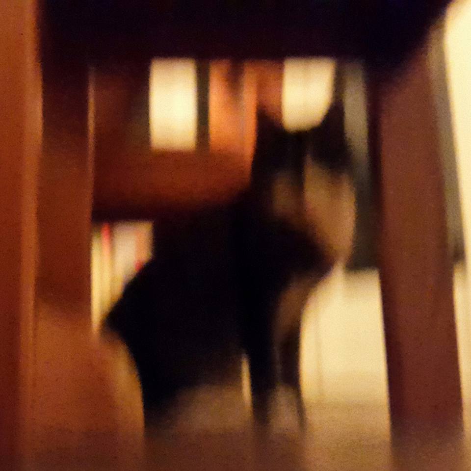 20151225 Go home Bob youre drunk