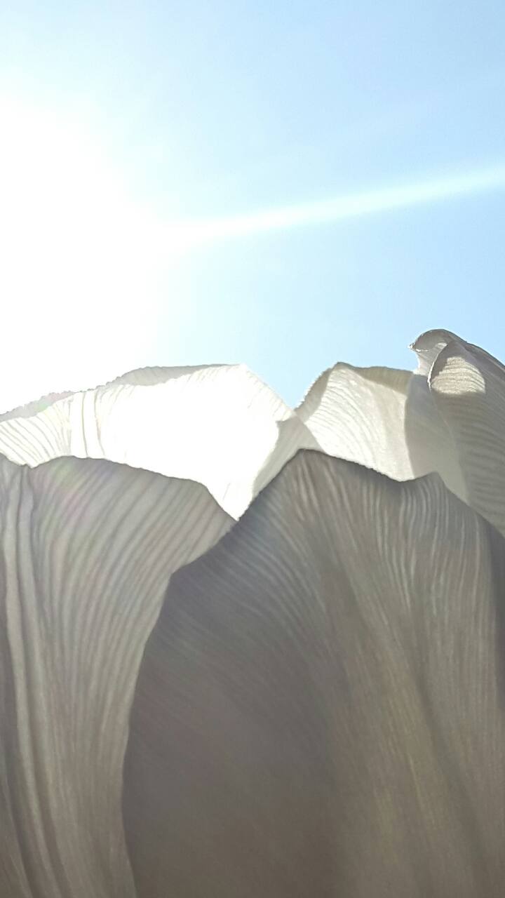 20160302 Sunny intermezzo