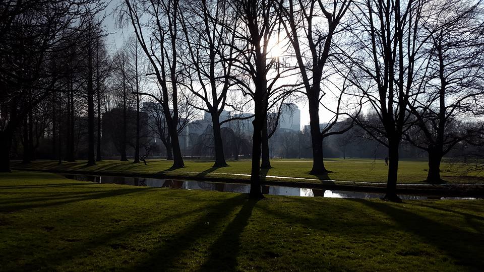 20160306 Trees come before economies