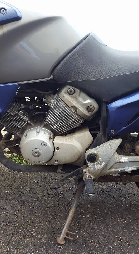 20160421 Space alien scares poor little owl