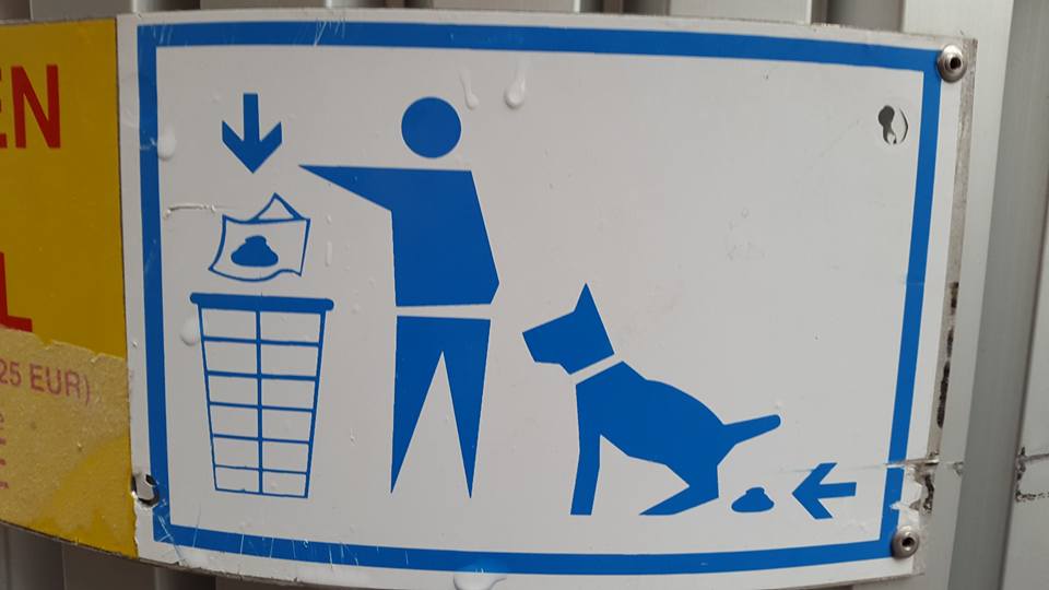 20160427 Die poep moet terug in de hond