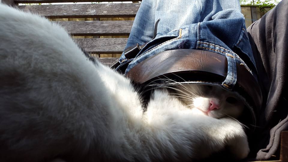 20160502 Theres a pussy in my pants