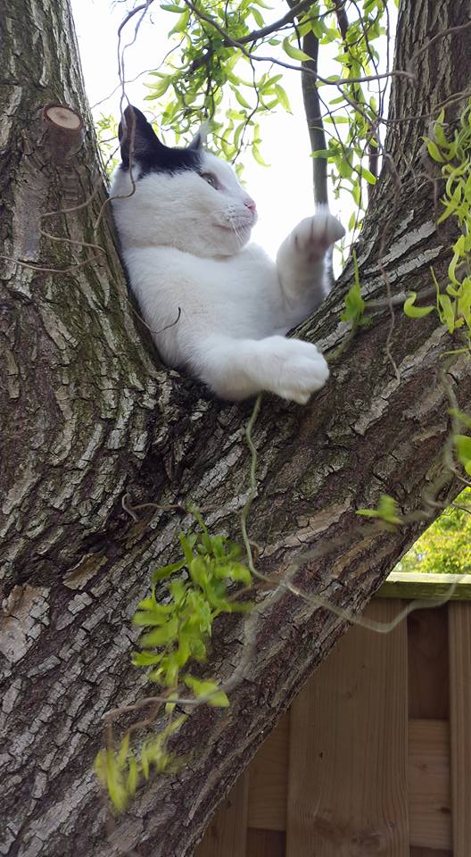 20160503 Haar nieuwe stamcafé