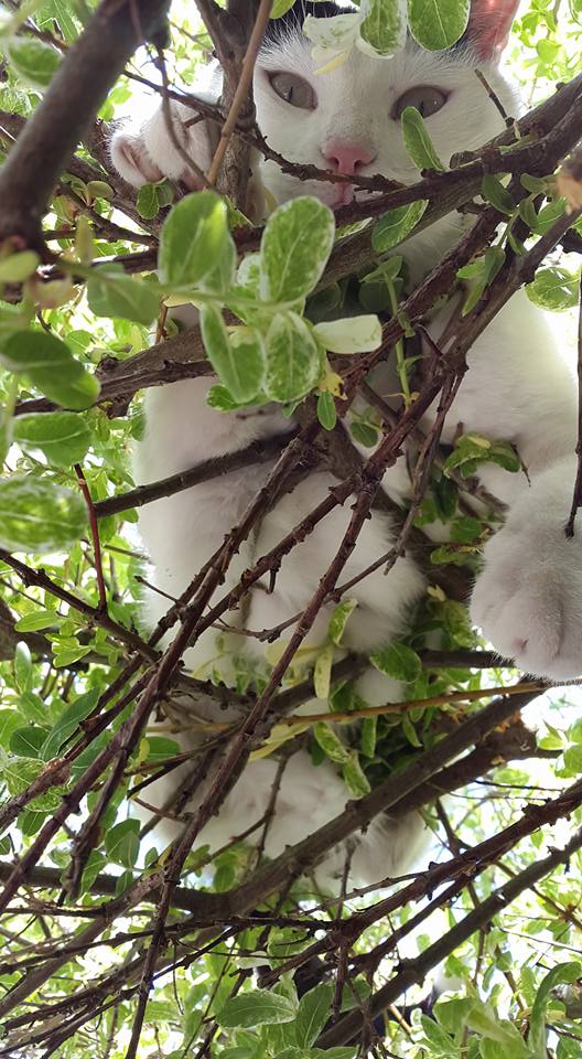 20160605 Lul maar ik lig wel lekker