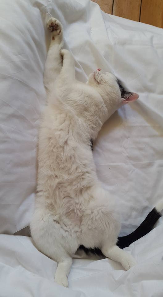 20160816 Her Broesness and the elegance of sleep