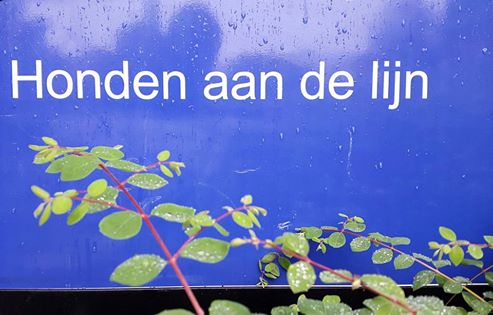 20160816 Ja zeg maar dat ik over een half uurtje terugbel