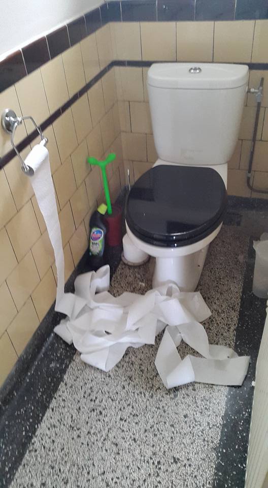 20161002 Note to self wc-deur dicht houden als je kittens in huis hebt