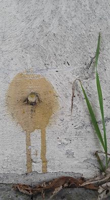 20161002 Teleurgesteld keerde kuiken Piep de wereld de rug toe