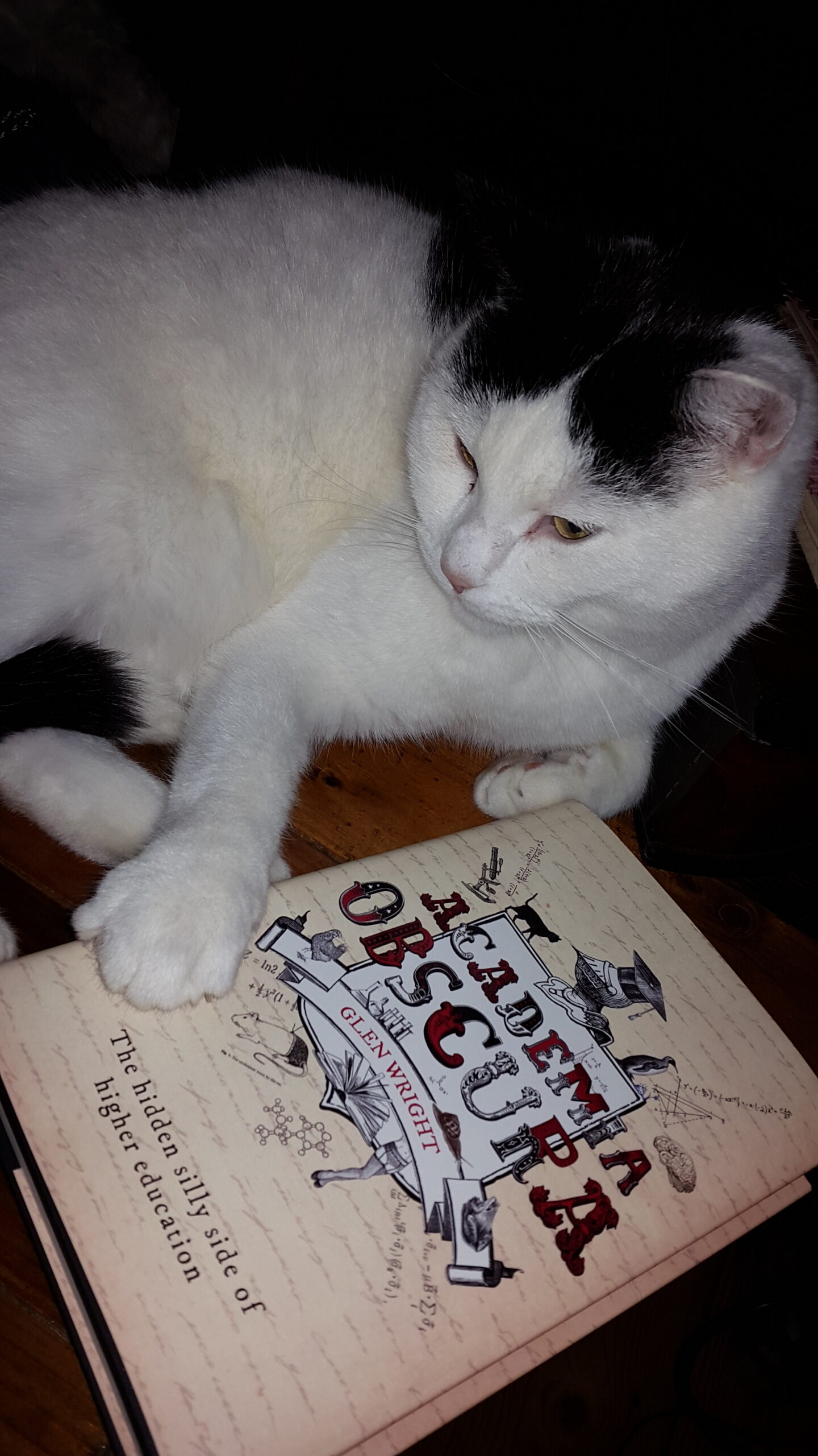 Broes Academia Obscura