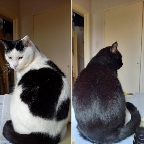 Watching snow melt